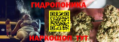 молекула духа Малоярославец