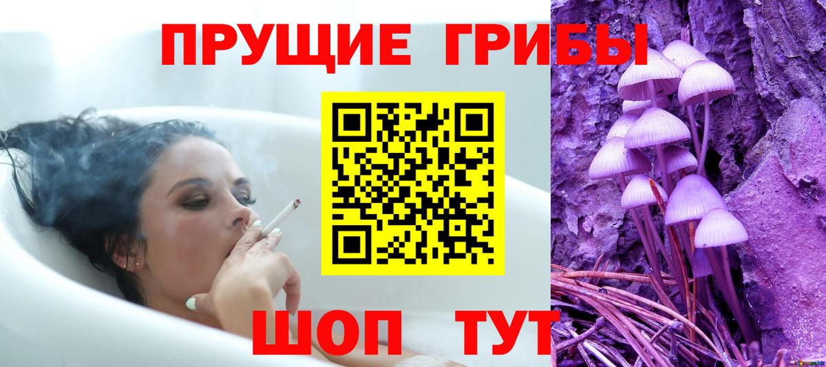Псилоцибиновые грибы MAGIC MUSHROOMS Бугуруслан