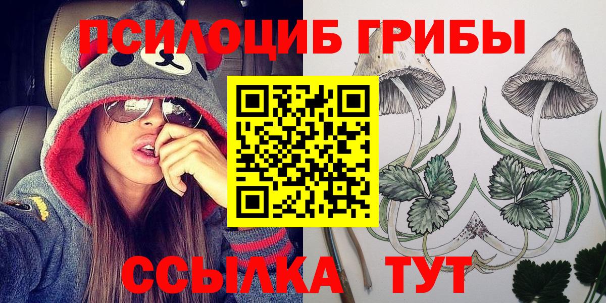 Псилоцибиновые грибы Magic Shrooms  Вход с VPN  Псилоцибиновые грибы мицелий  Бугуруслан 